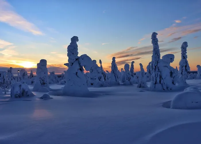 Halaus בית נופש *